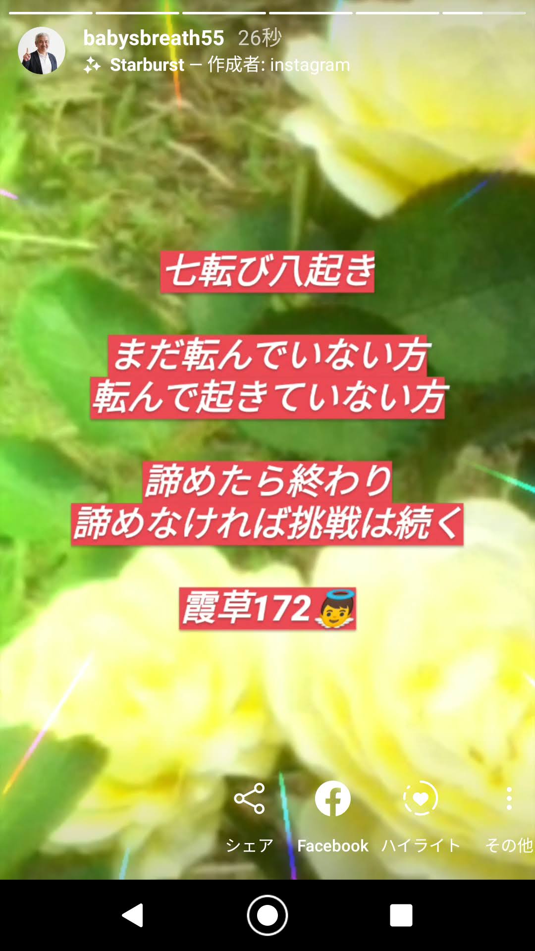 七転び八起き まだ転んでいない方 転んで起きていない方 諦めたら終わり 結婚相談所ベイビーズ ブレス