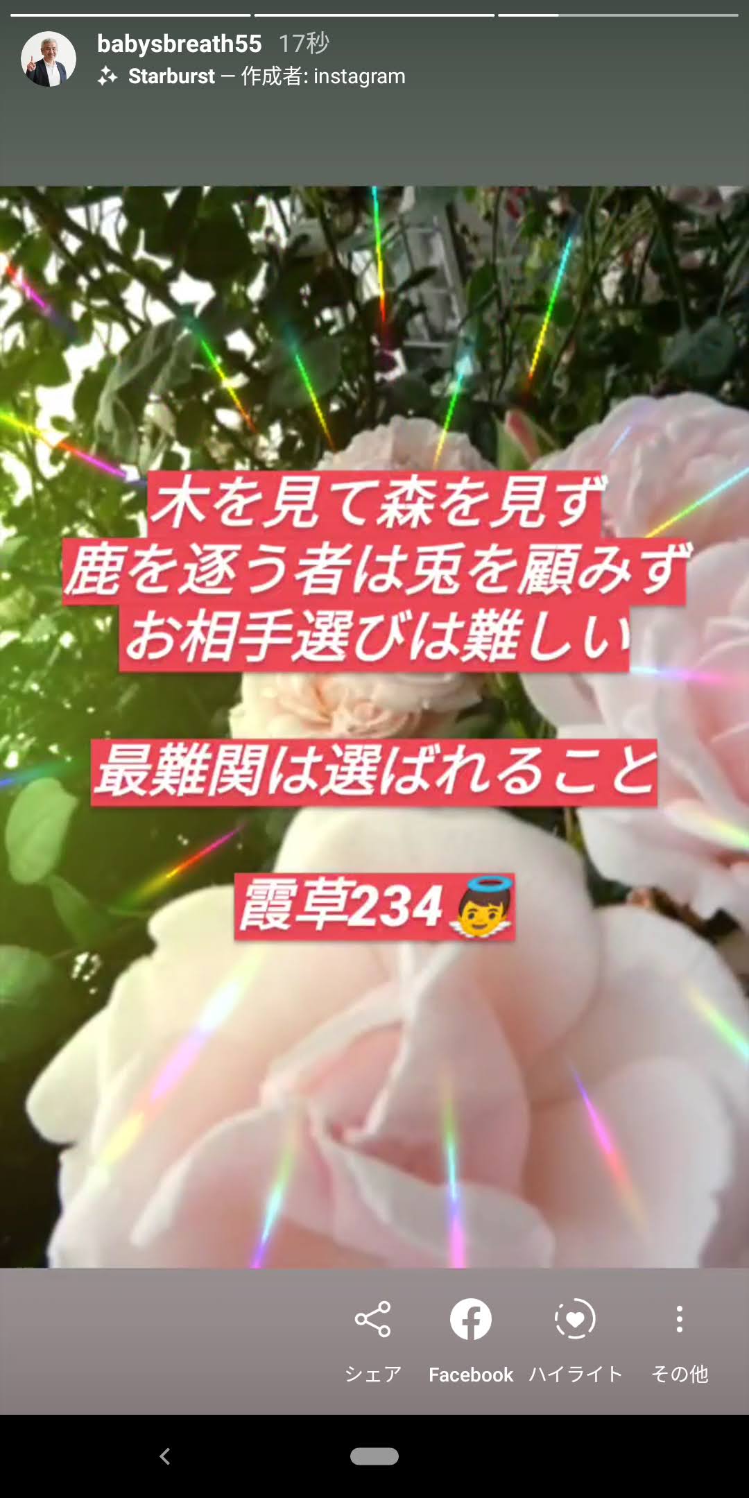 木を見て森を見ず 鹿を逐う者は兎を顧みず お相手選びは難しい 結婚相談所ベイビーズ ブレス