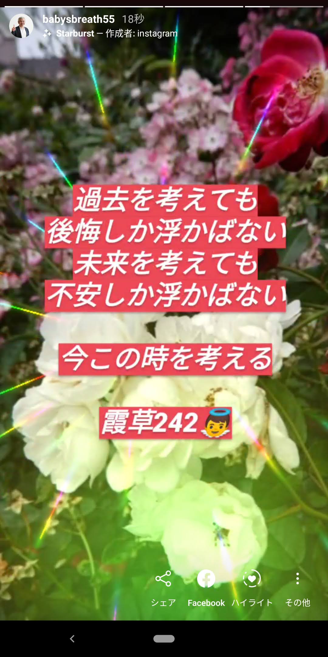 過去を考えても後悔しか浮かばない 未来を考えても 不安しか浮かばない 結婚相談所ベイビーズ ブレス
