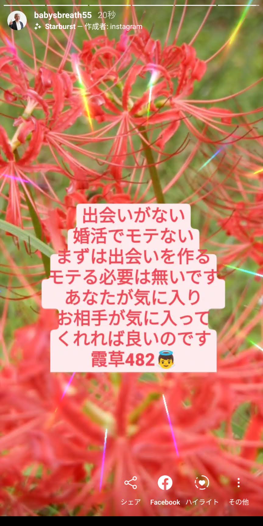 出会いがない 婚活でモテない まずは出会いを作る モテる必要は無いです 結婚相談所ベイビーズ ブレス