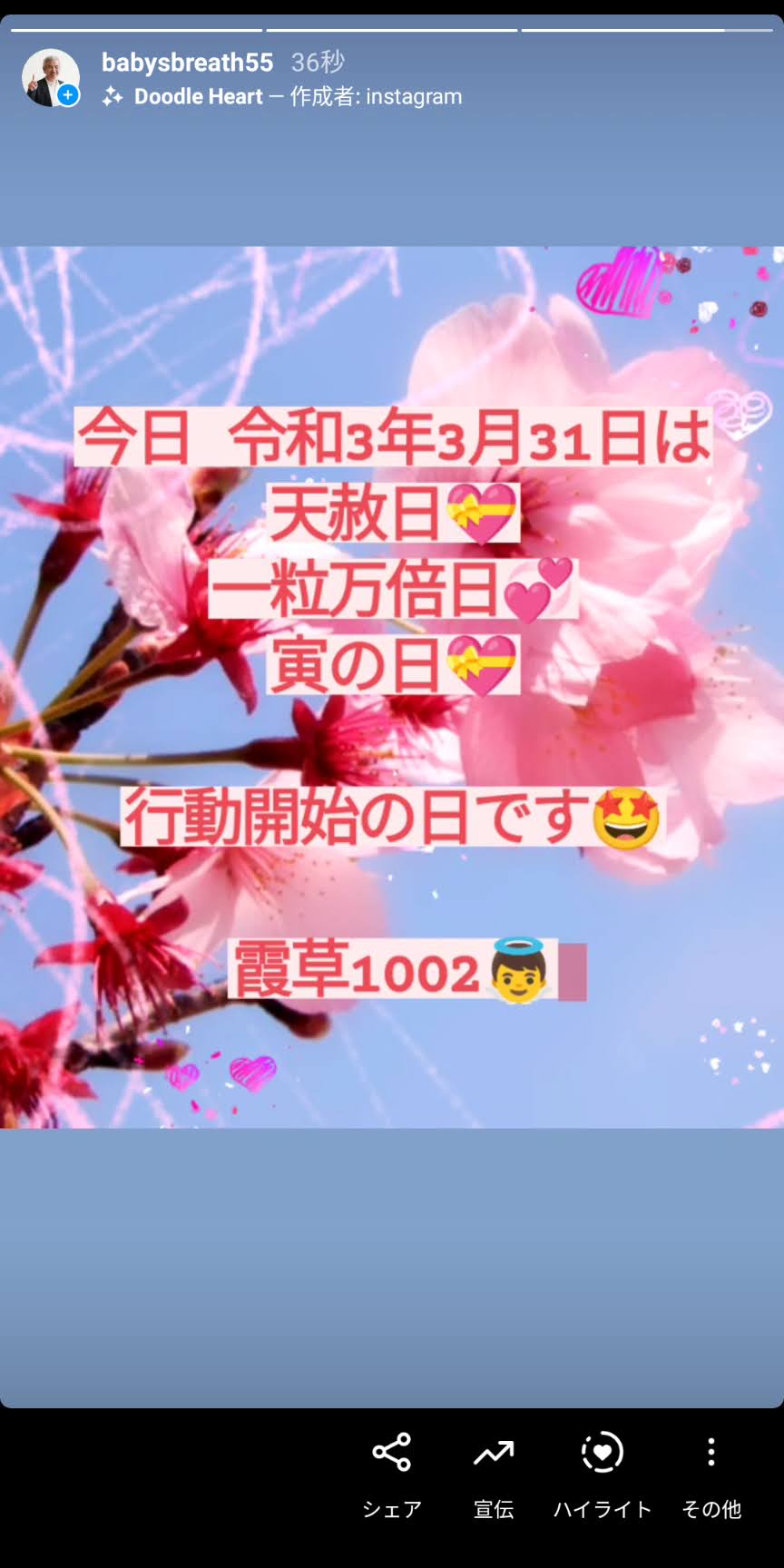 今日 令和3年3月31日は 天赦日 一粒万倍日 寅の日 行動開始の日です 結婚相談所ベイビーズ ブレス